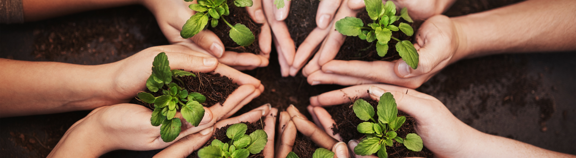 Transition écologique : formez vos salariés 