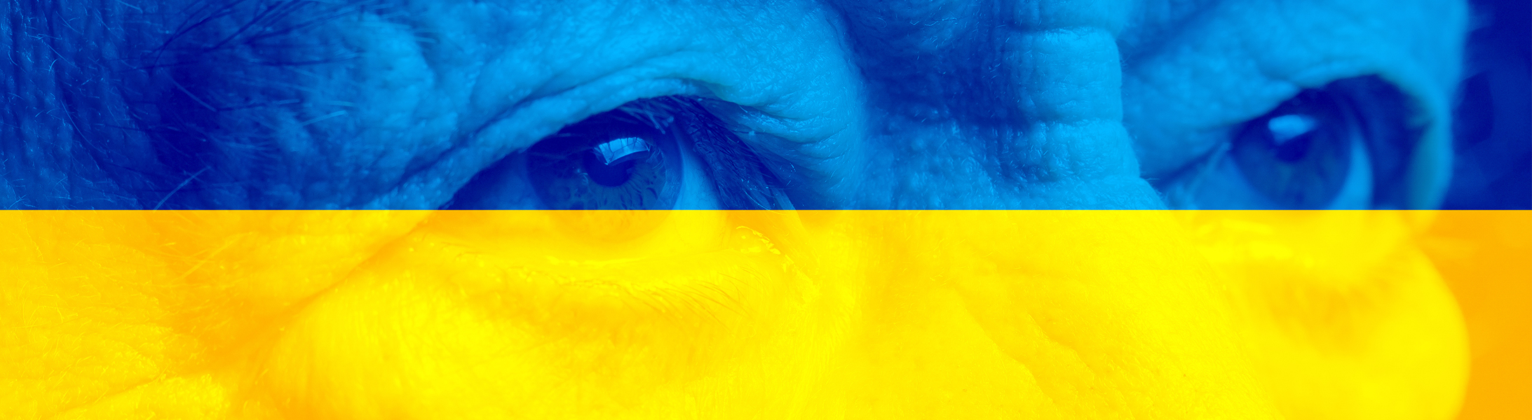 Réfugiées ukrainiennes accueillies dans la Cohésion sociale