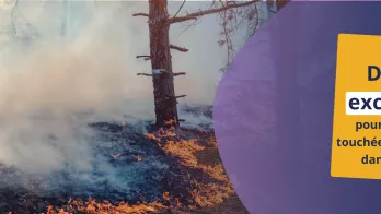 Dispositif exceptionnel  pour les entreprises dans le sud-ouest : image feu de la pinède