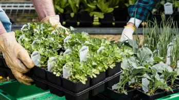 Uniformation : Alimentation, Production, Consommation