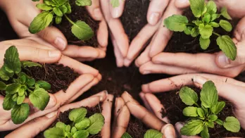 Transition écologique : formez vos salariés
