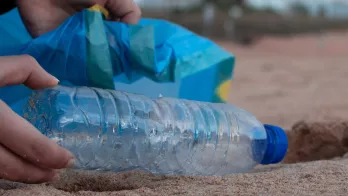 Zoom sur la transition écologique