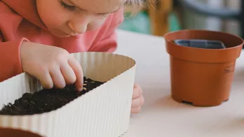 CELESTE aborde la transition écologique dans les crèches