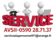 Logo AVS II