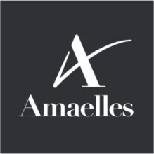 Logo AMAELLES RESEAU APA 71