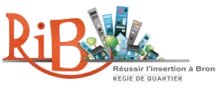 Logo REUSSIR L INSERTION A BRON