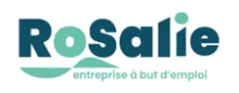 Logo ROUEN SOTTEVILLE ACTION LOCALE D'INITIATIVE POUR L'EMPLOI